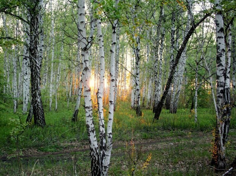 Вести поселеинй