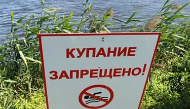 вести