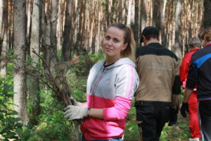 в бору (3)