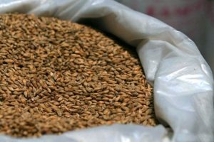 Злоупотребления