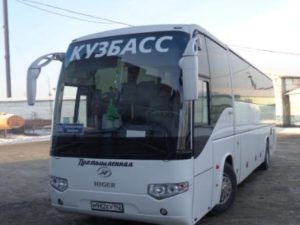 автобусы
