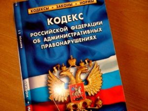 kodeks