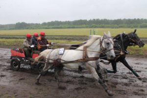 поскакали (11)