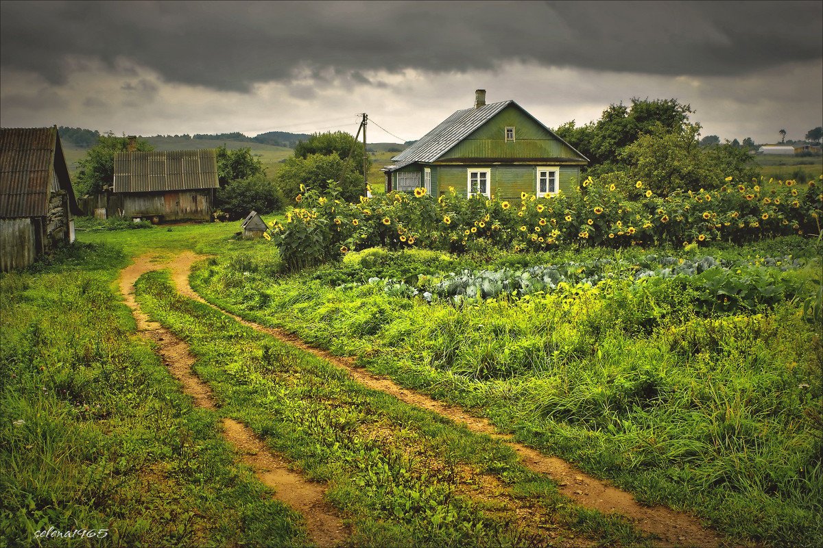 РАССКАЖИ-КА МНЕ, РАЙОНКА, КАК ЖИВЁТ НАШЕ СЕЛО?