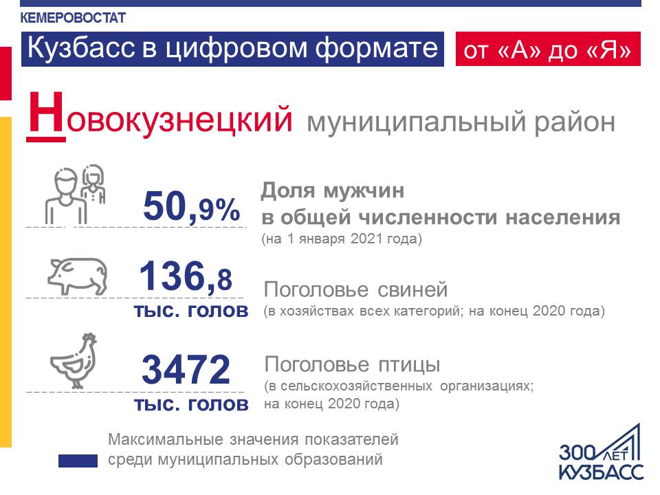 Служба государственной статистики Кузбасс. Итоги переписи 2021 Кузбасс. Цифровизация Мордовии статистика. Кузбасс в цифре форум.